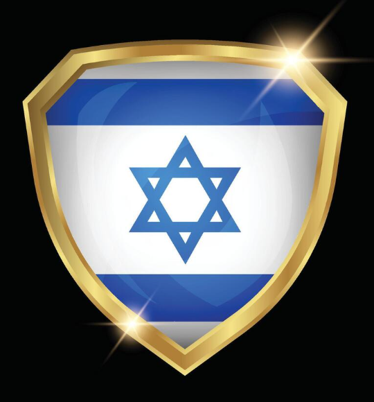 Jewish Protection & Security